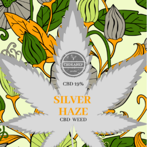 Silver Haze cbd weed